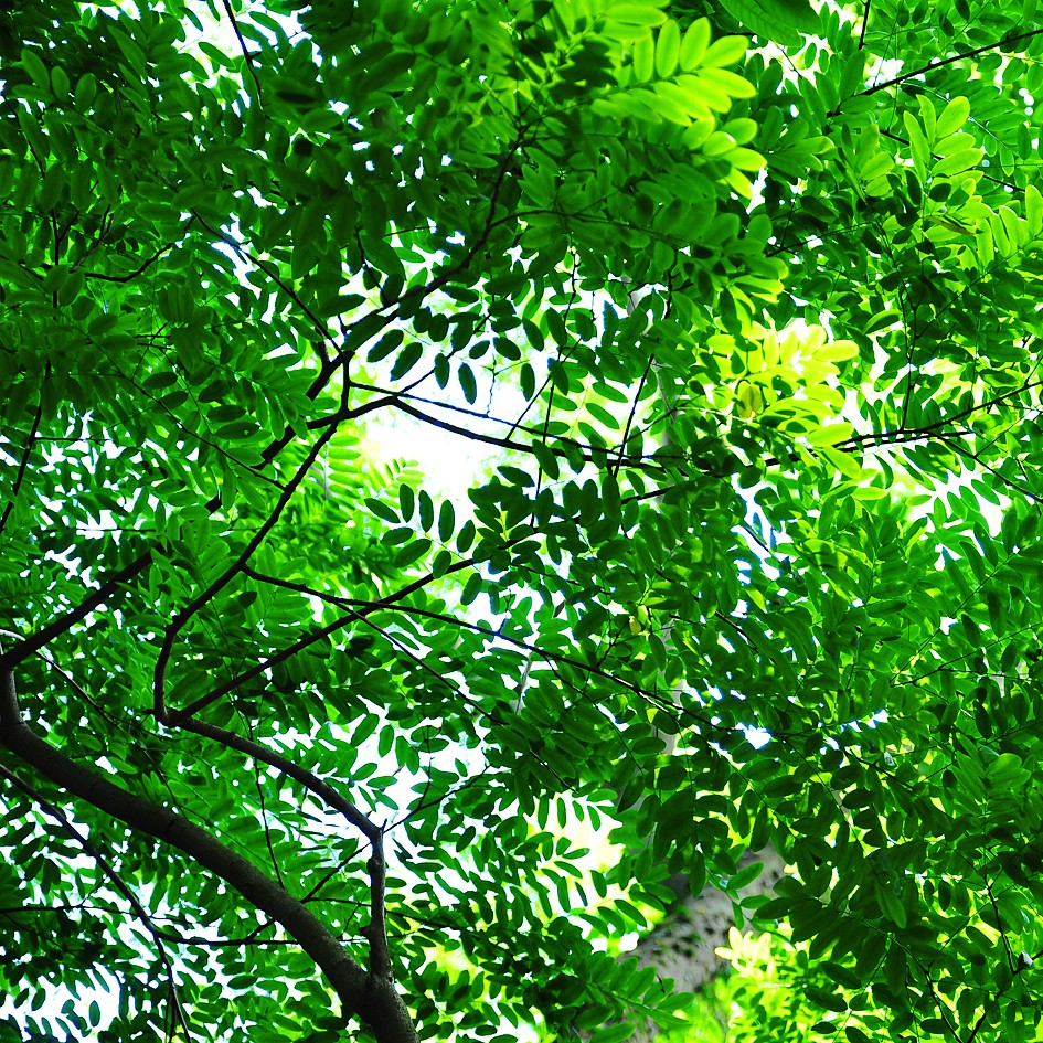 Banner Images
