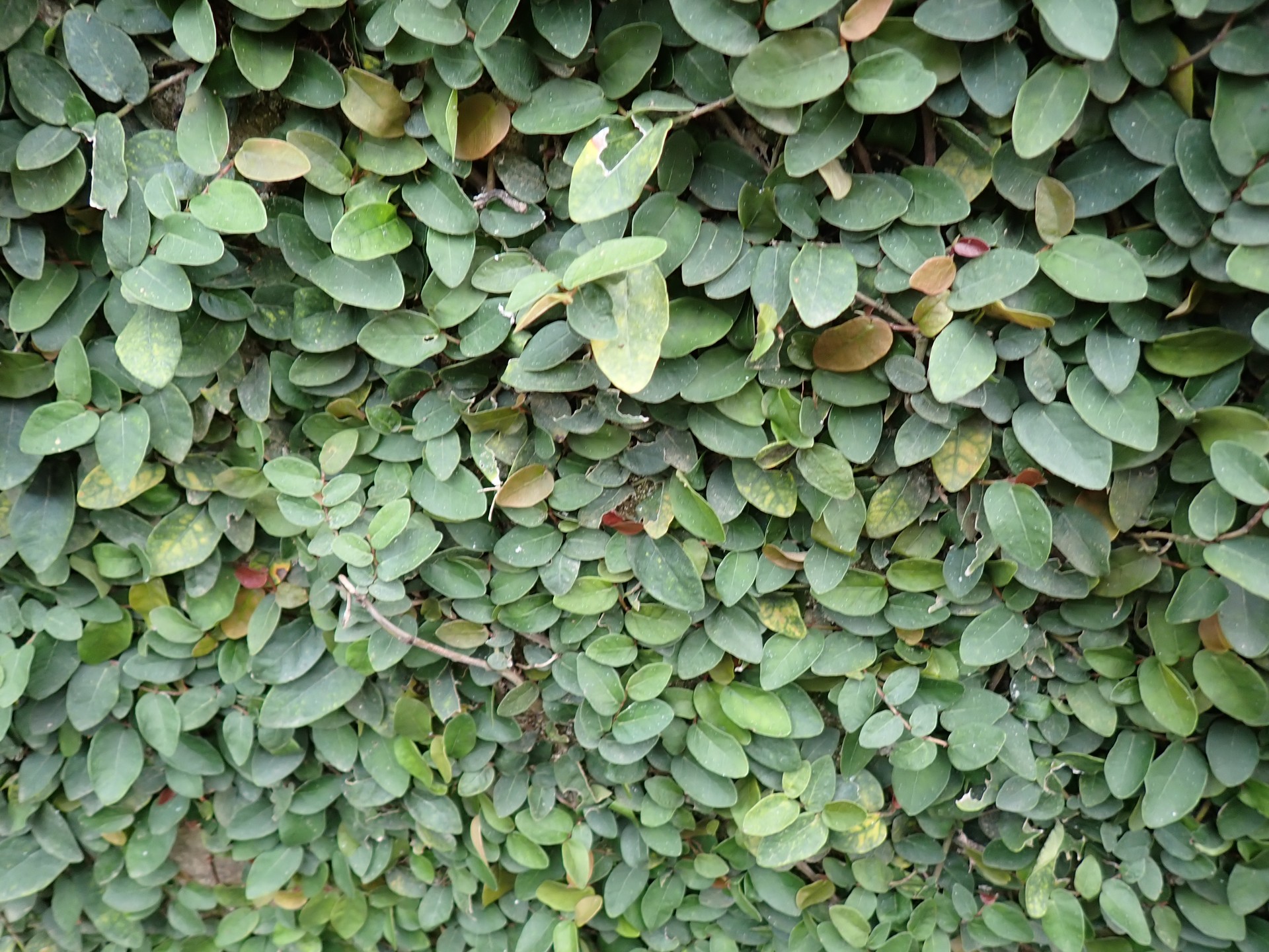 Banner Images