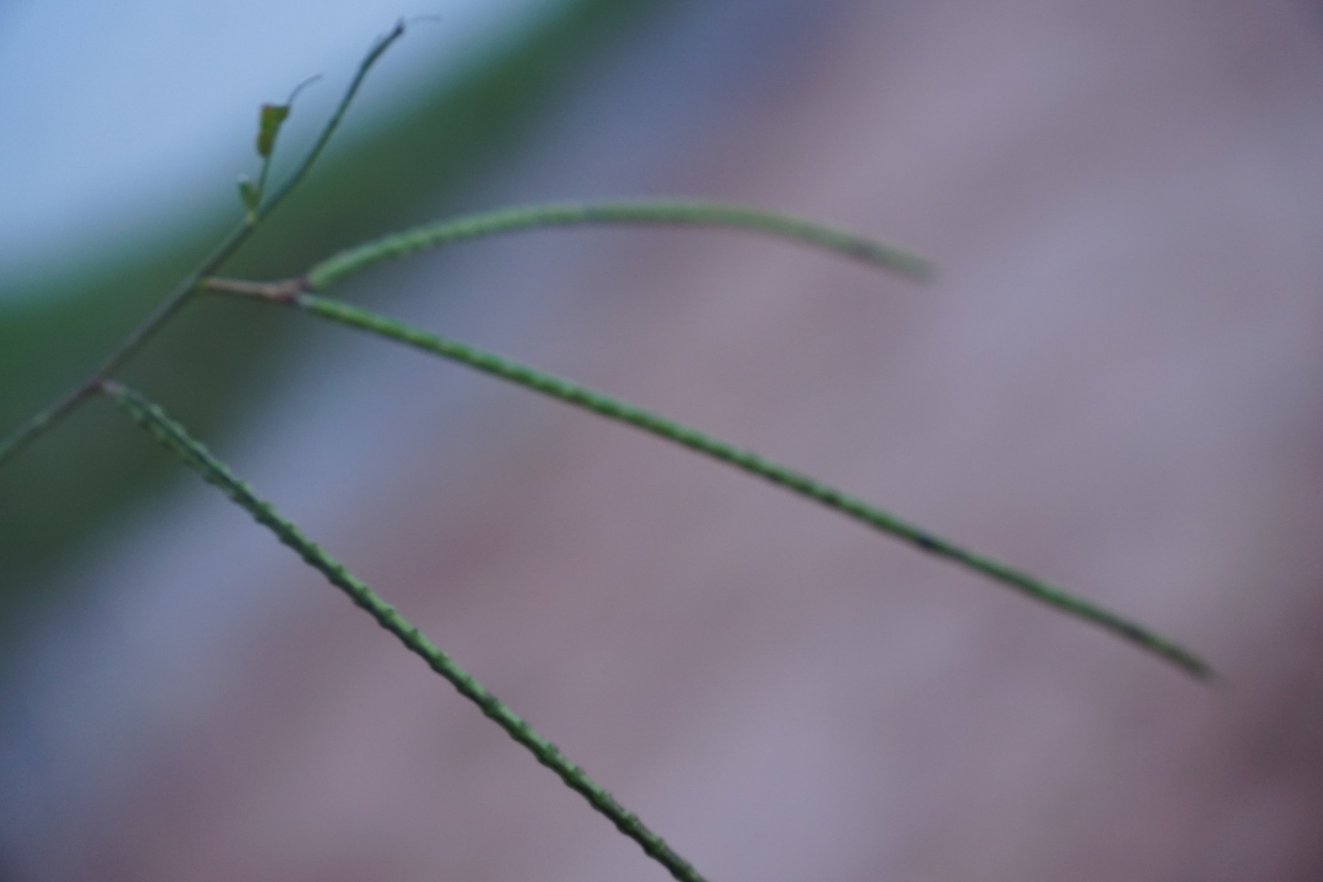 Banner Images