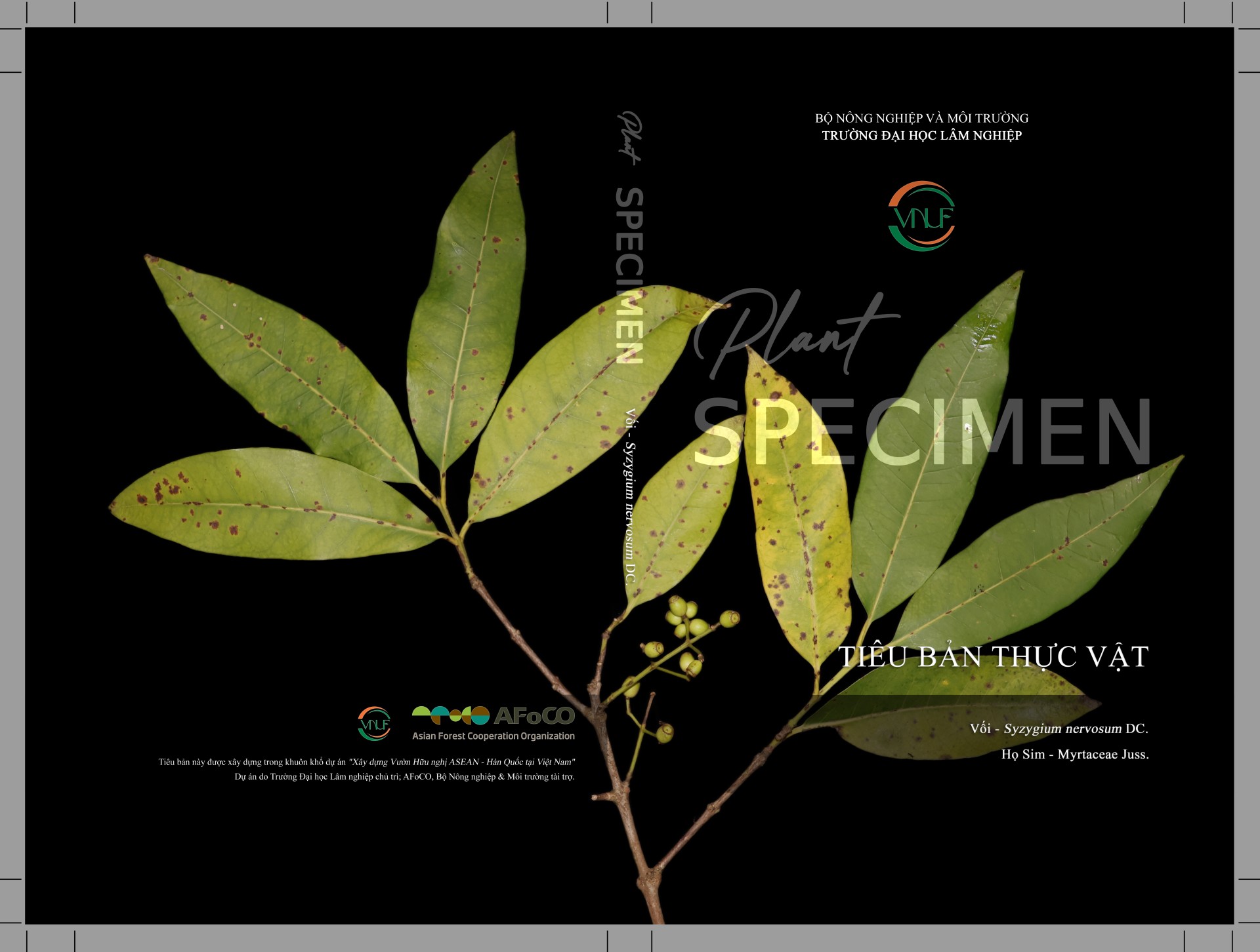 Banner Images
