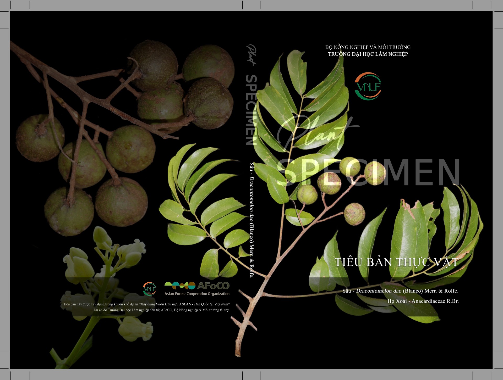 Banner Images