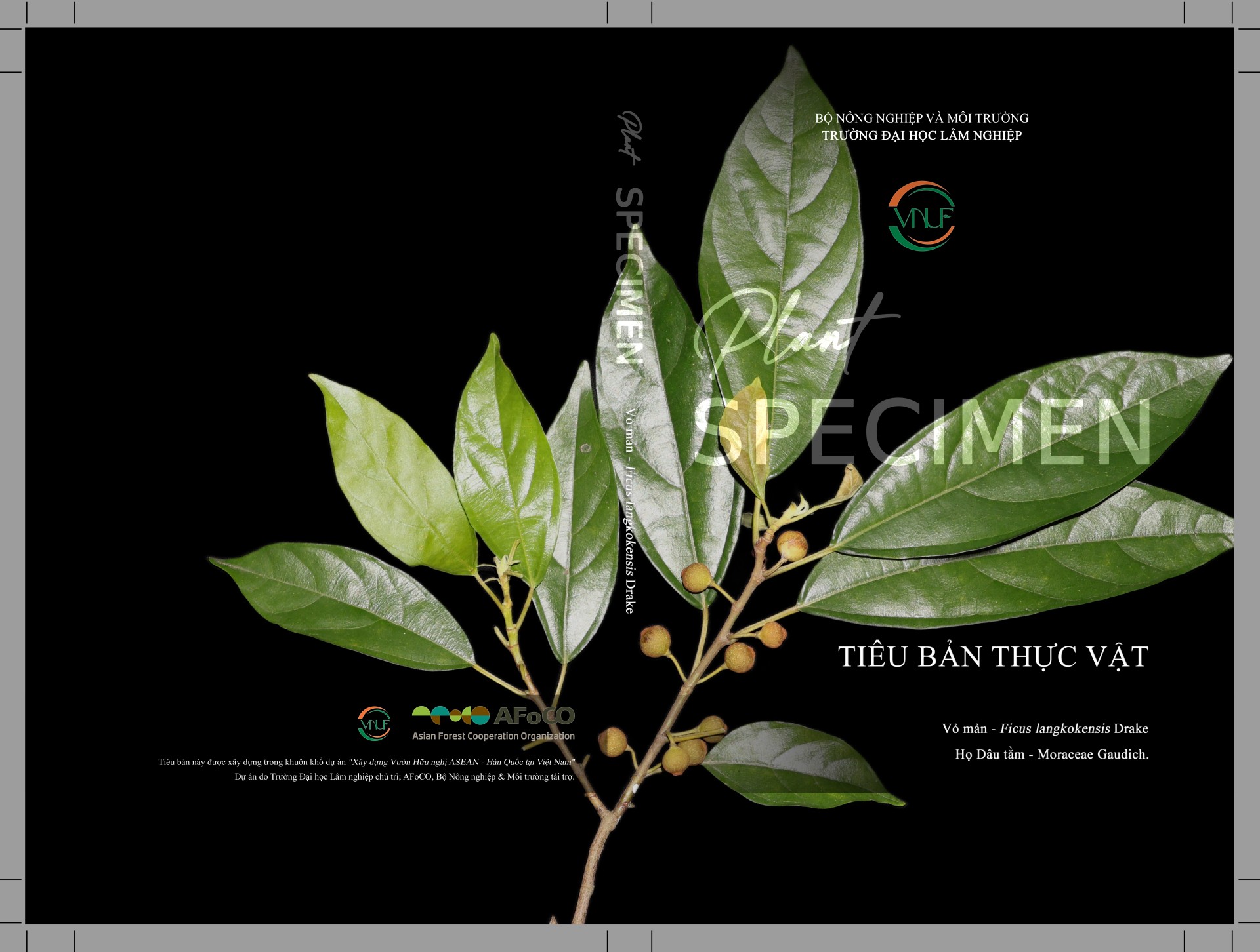 Banner Images